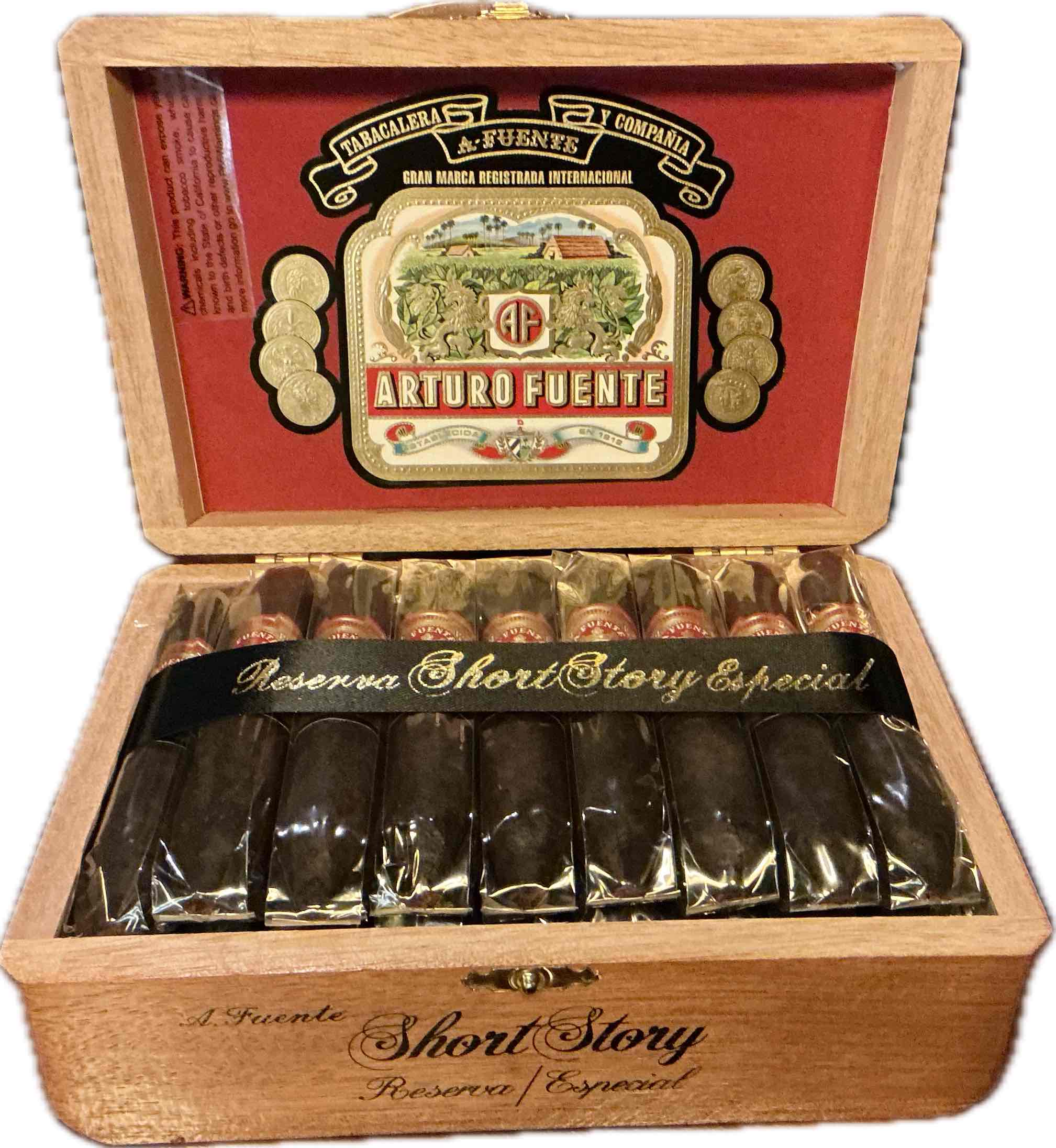 Af Short Story Hemingway (maduro)