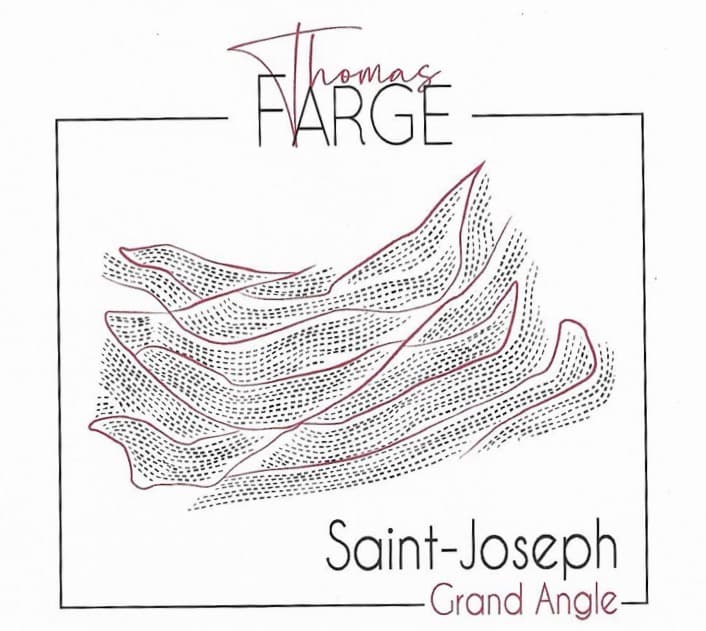 Copa de Saint-Joseph “Grand Angle” Tinto 2022 Domaine Farge