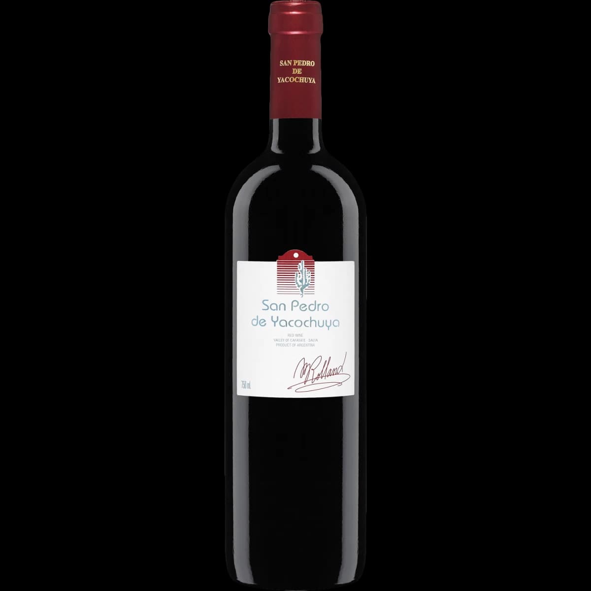 San Pedro de Yacochuya Malbec 2020 – Salta