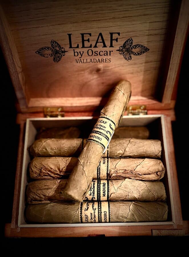 Leaf by Oscar Valladares Maduro Toro
